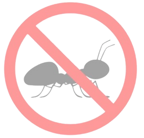 formiga