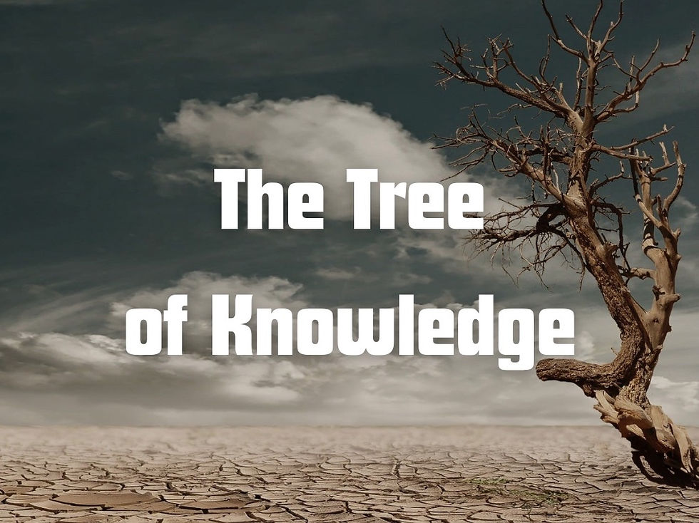 The Tree of Knowledge