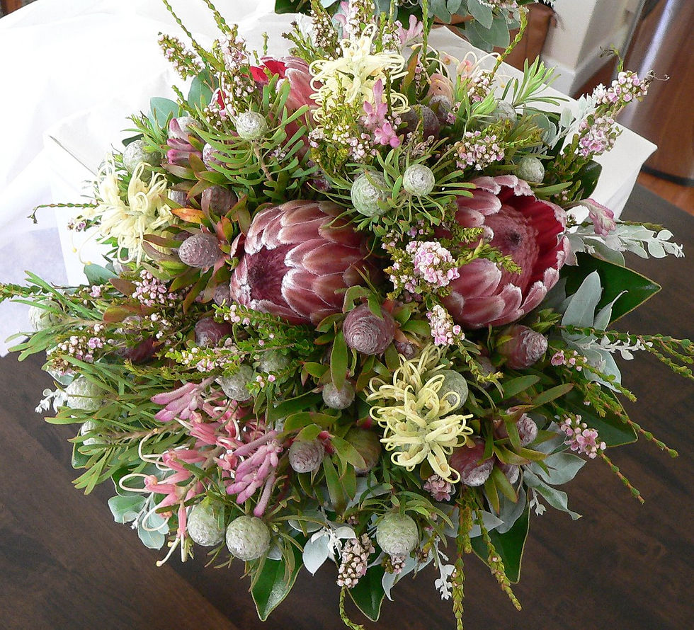 151-P1090567_edited
