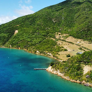 63915fd0-e61e-4df4-853a-2fccfce11370.jfif