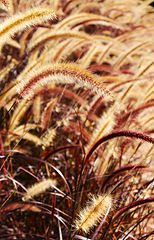 VIAGEM RS ABRIL 2022 - IMG_0098 EDITADA.JPG