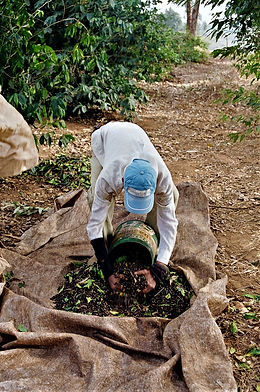 CD 10 - 104 norit - foto 92640004 editada.jpg