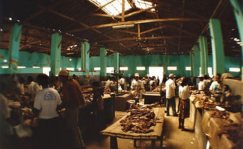 GALERIA CHAPADA DIAMANTINA - F135_f27a e
