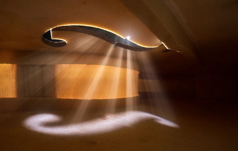 Inside a violin adjusted copy.jpg