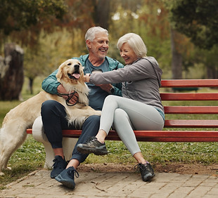 AdobeStock_1095243396.jpeg