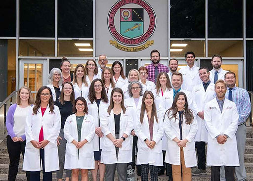 4.7 (1) Palliative-Medicine-Team.jpg