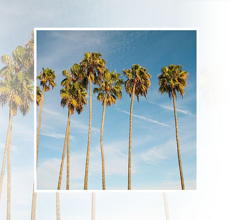 Reliable car shipping to and from Los Angeles, California.jpg