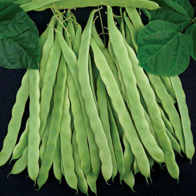 ree