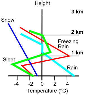 ree