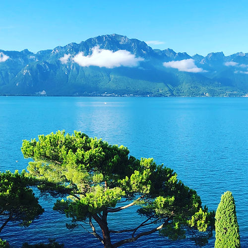 Lake Geneva view with steamer.jpg