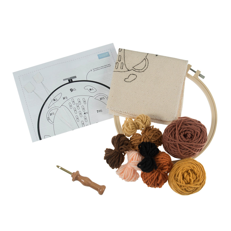 Thumbnail: Lion Punch Needle Kit