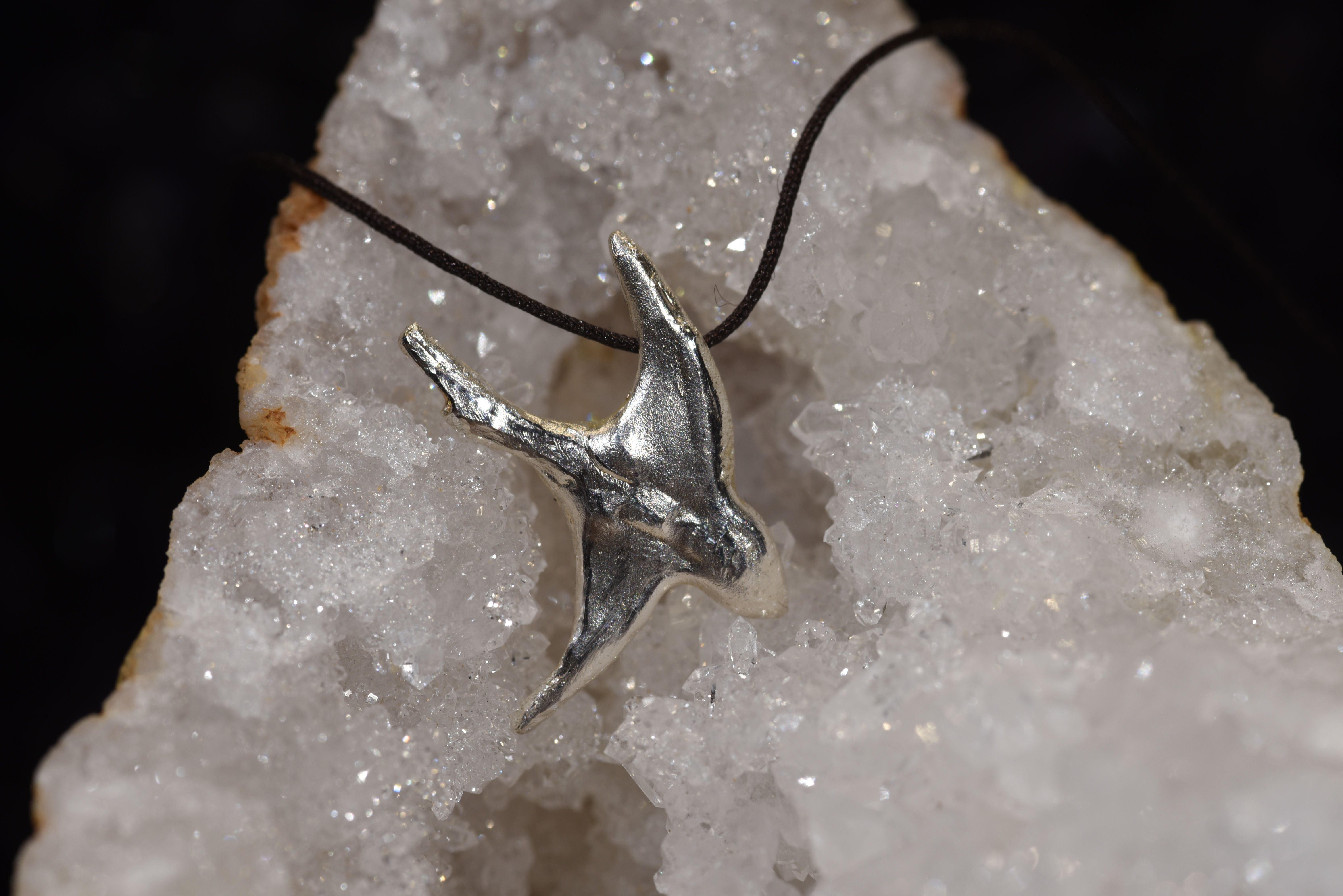 Signe ou Hirondelle ...