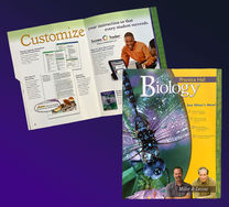 Dragonfly, and books authors and the cover and kids leaning with teacher