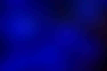 The Forbidden Forest, brought to life indoors — dense, misty, and filled with magical creatures waiting to be discovered.