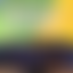 Atletas de judô paralímpico do Centro Esportivo Mooca conquistam ouro e bronze em torneio internacional na Alemanha