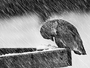 Kai skausmas atrodo nepakeliamas