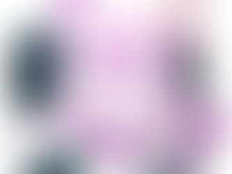 La omisión de detalle en el PGN 2024 pone en duda su transparencia