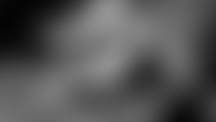 Oplevelse som husalf hos to piger