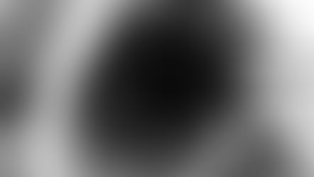 Oplevelser med fotosession