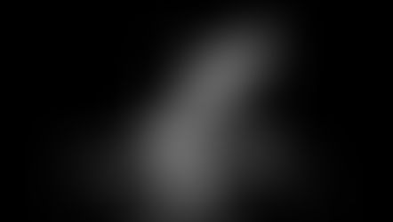 I Frederiksberg Have