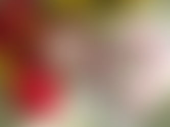 The Essential Alkaline Food List to Help You Regenerate Your Body