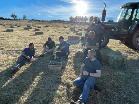 Making hay the old way!