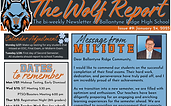 Wolf Report Issue009 (2025-01-24).png