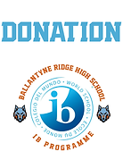 IB for Zeffy Generic Donation.png