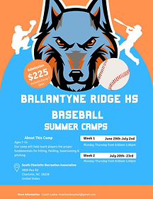 Summer Camp - Baseball.png