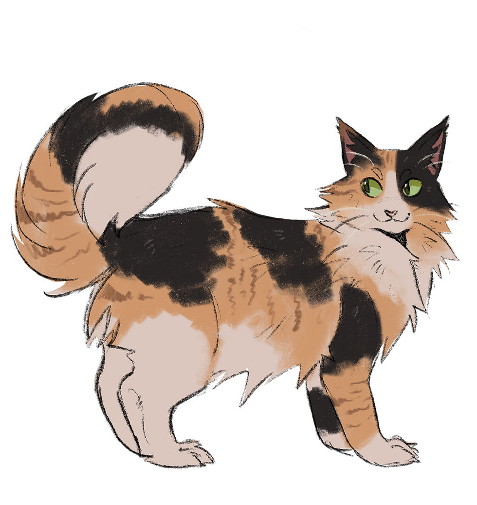 Muru