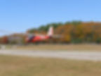 fall.jpg
