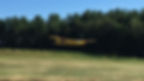 yellow 3.jpg