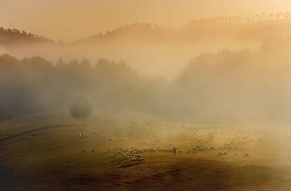 beautiful-scenery-landscape (1).jpg