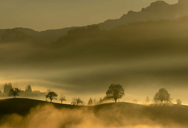 green-trees-mountain-daytime (1).jpg