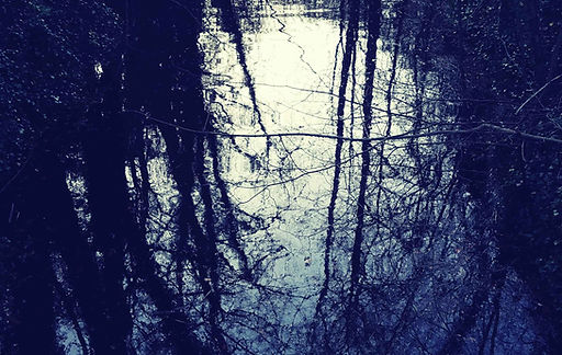 reflection-bare-trees-river (1).jpg