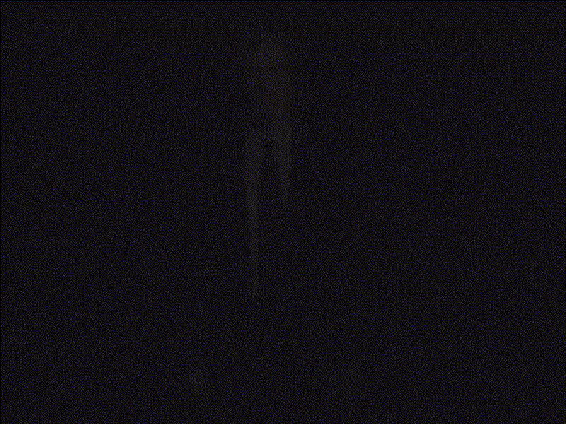 imageedit_33_8177035836.gif