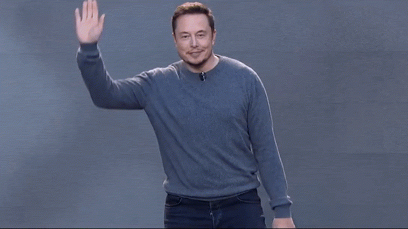 imageedit_42_9492525831.gif