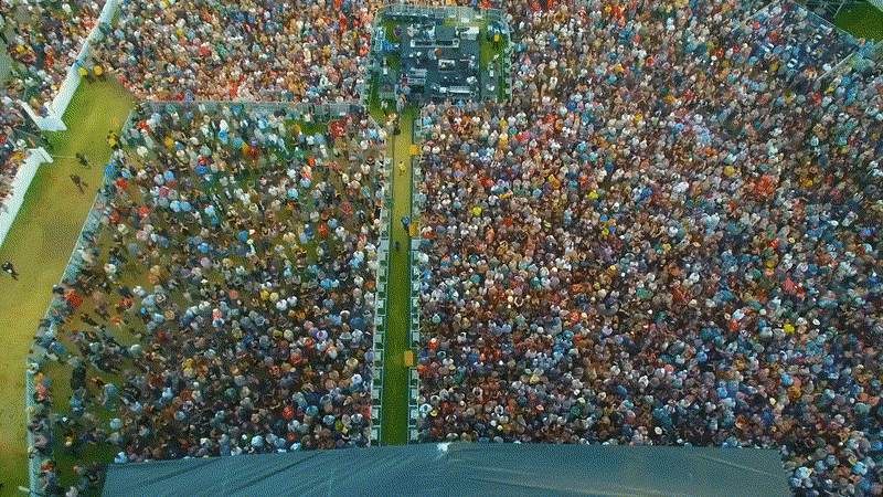 imageedit_13_6899534767.gif