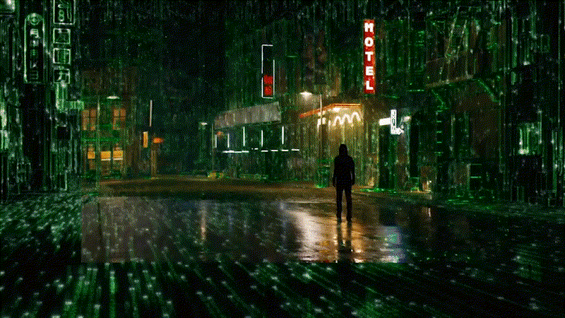 imageedit_44_2749294893.gif
