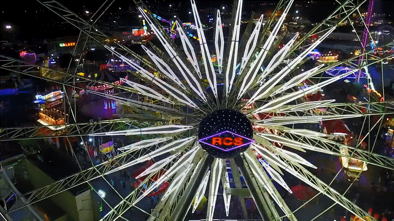imageedit_48_3748754439.gif