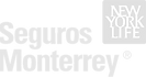 Seguros_Monterrey-logo-53B7337447-seeklo