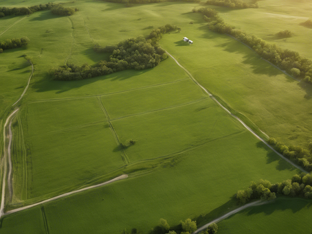 Discover the Sustainable Practices of Lander Cattle Co