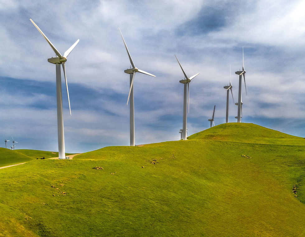 pexels-chrisxplores-31633329 (1).jpg