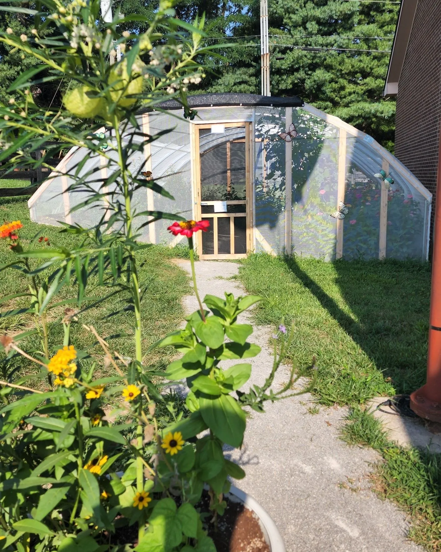 Luna's Butterfly Cafe