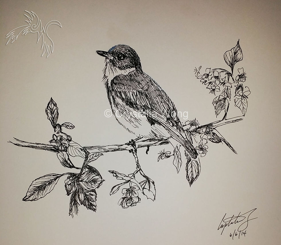 Lonely Blue Bird