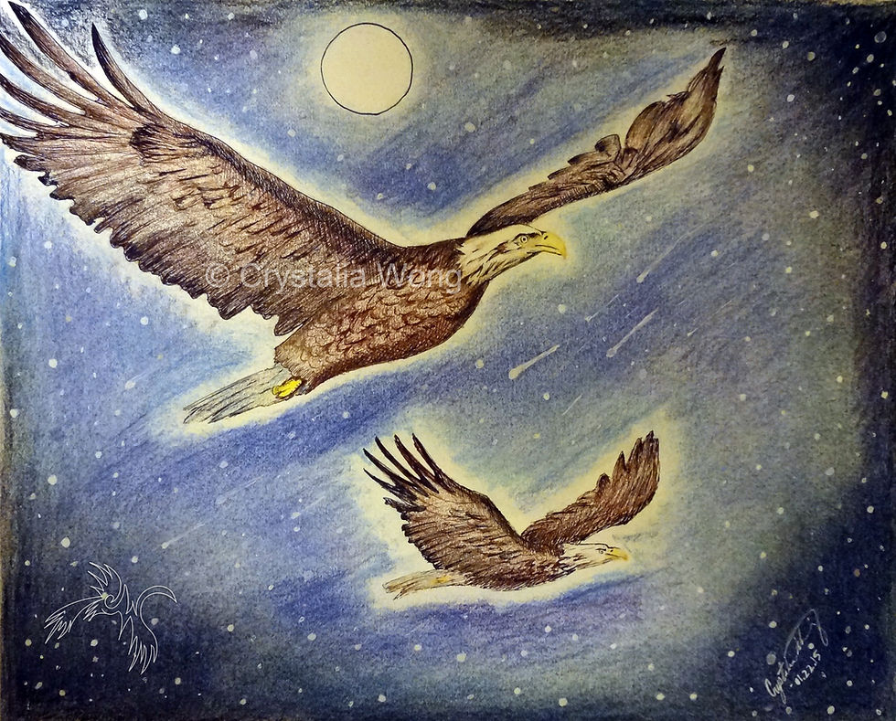 Soaring Like Eagles