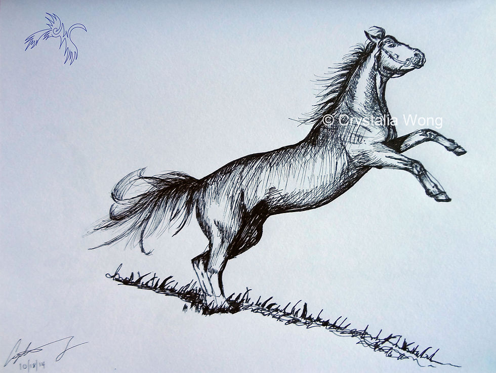 Rearing Horse