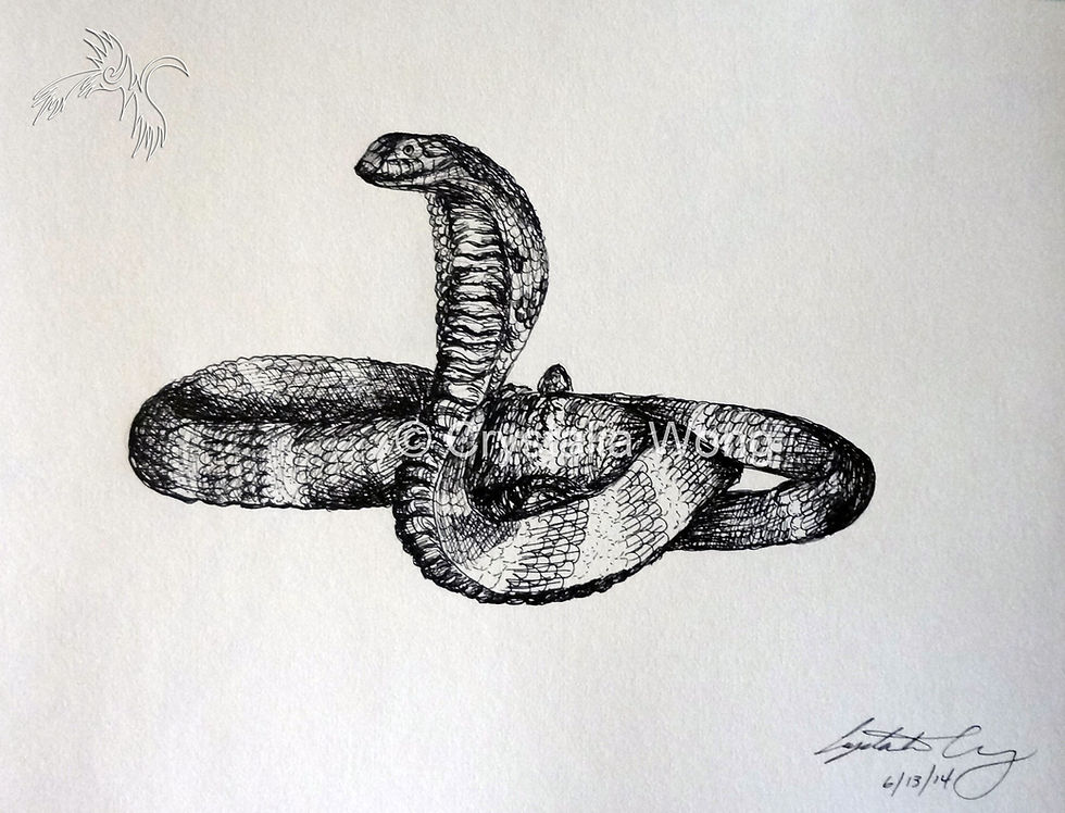 KevCobra