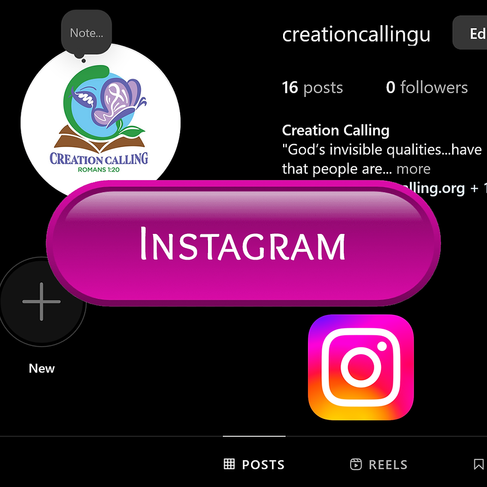 Creation Calling Instagram https://www.instagram.com/creationcallingu/