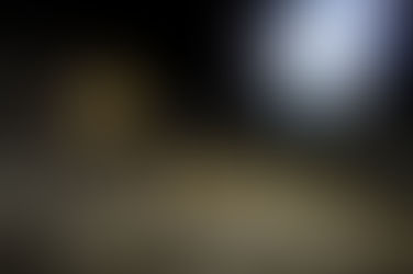 Standing Rock: A View From The Front